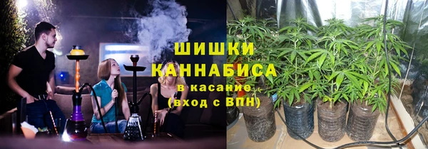 гидра Красноперекопск